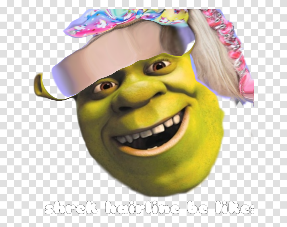 No Offense But I Find Jojo Siwa Annoying And Horrible Shrek Roblox Decal, Apparel, Bonnet, Hat Transparent Png