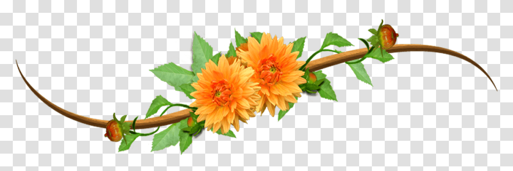 No Orange Clip Art Orange Flower Clip Art, Dahlia, Plant, Blossom, Anther Transparent Png