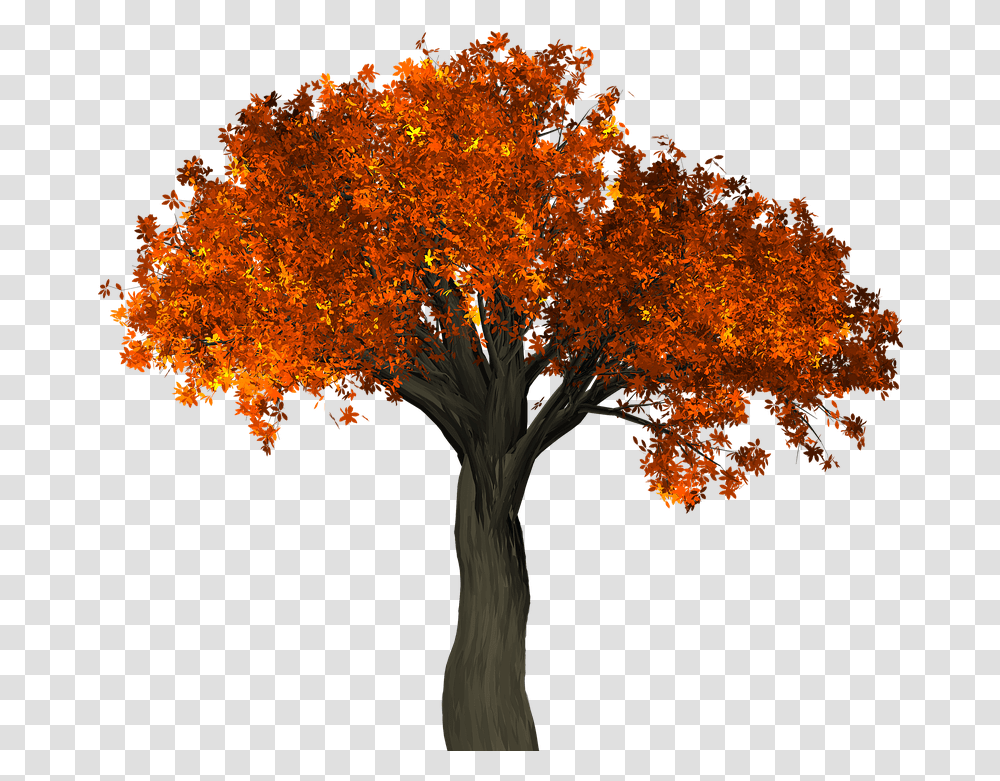 No Tree 3 Image Advice From A Tree Poem, Plant, Maple, Leaf, Tree Trunk Transparent Png