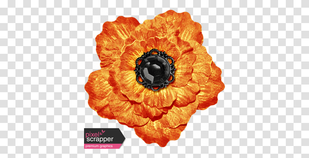 No Tricks Just Treats Orange And Black Vintage Flower English Marigold, Jewelry, Accessories, Accessory, Brooch Transparent Png