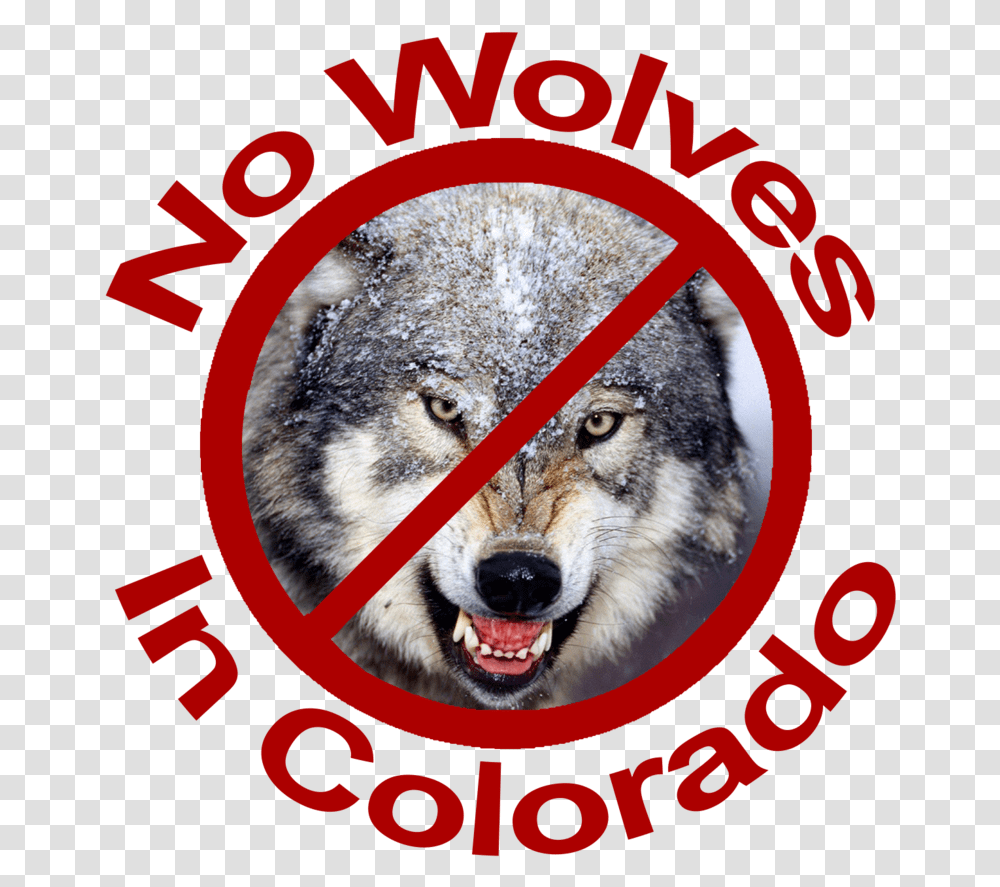 No Wolves In Colorado Red Lettering Dog Yawns, Wolf, Mammal, Animal, Pet Transparent Png