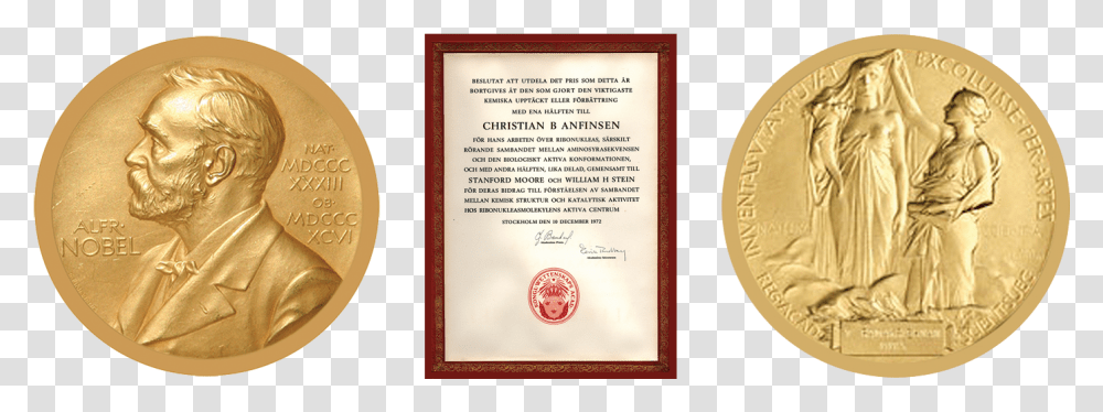 Nobel Prize Medal Obverse And Reverse With Nobel Document Coin, Person, Advertisement, Plaque Transparent Png