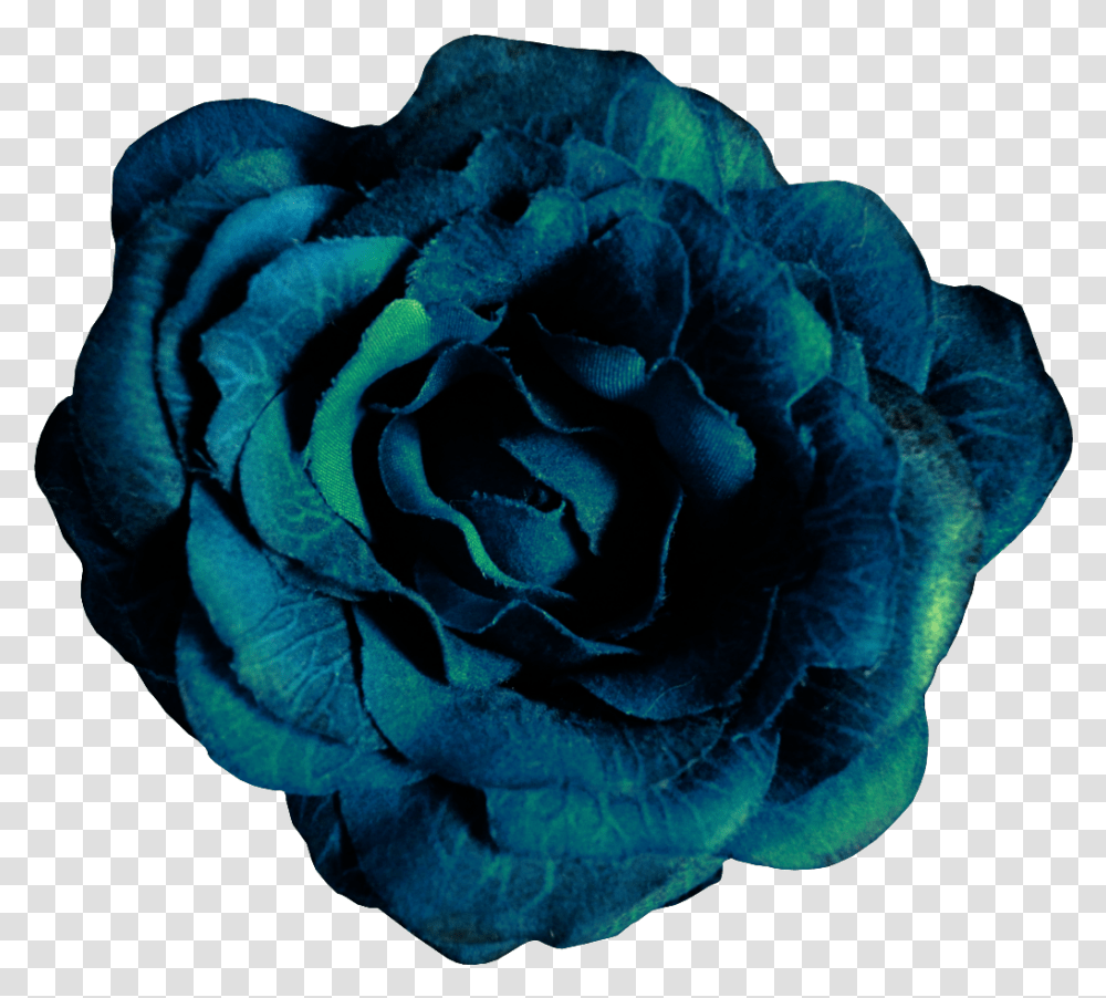 Noble Dark Blue Flowers Dark Blue Flower, Rose, Plant Transparent Png