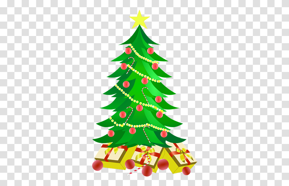Noel 2019 En, Christmas Tree, Ornament, Plant, Star Symbol Transparent Png