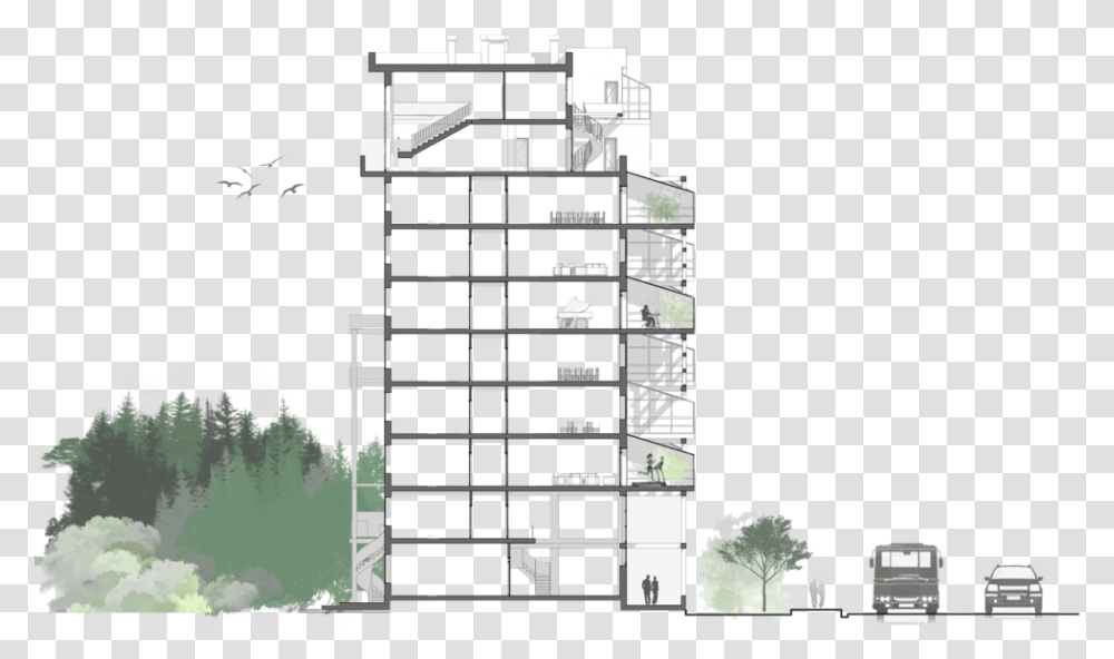 Noise Mitigation - Alla Zibrova Tree Plan View, Diagram, Plot, Floor Plan, Urban Transparent Png