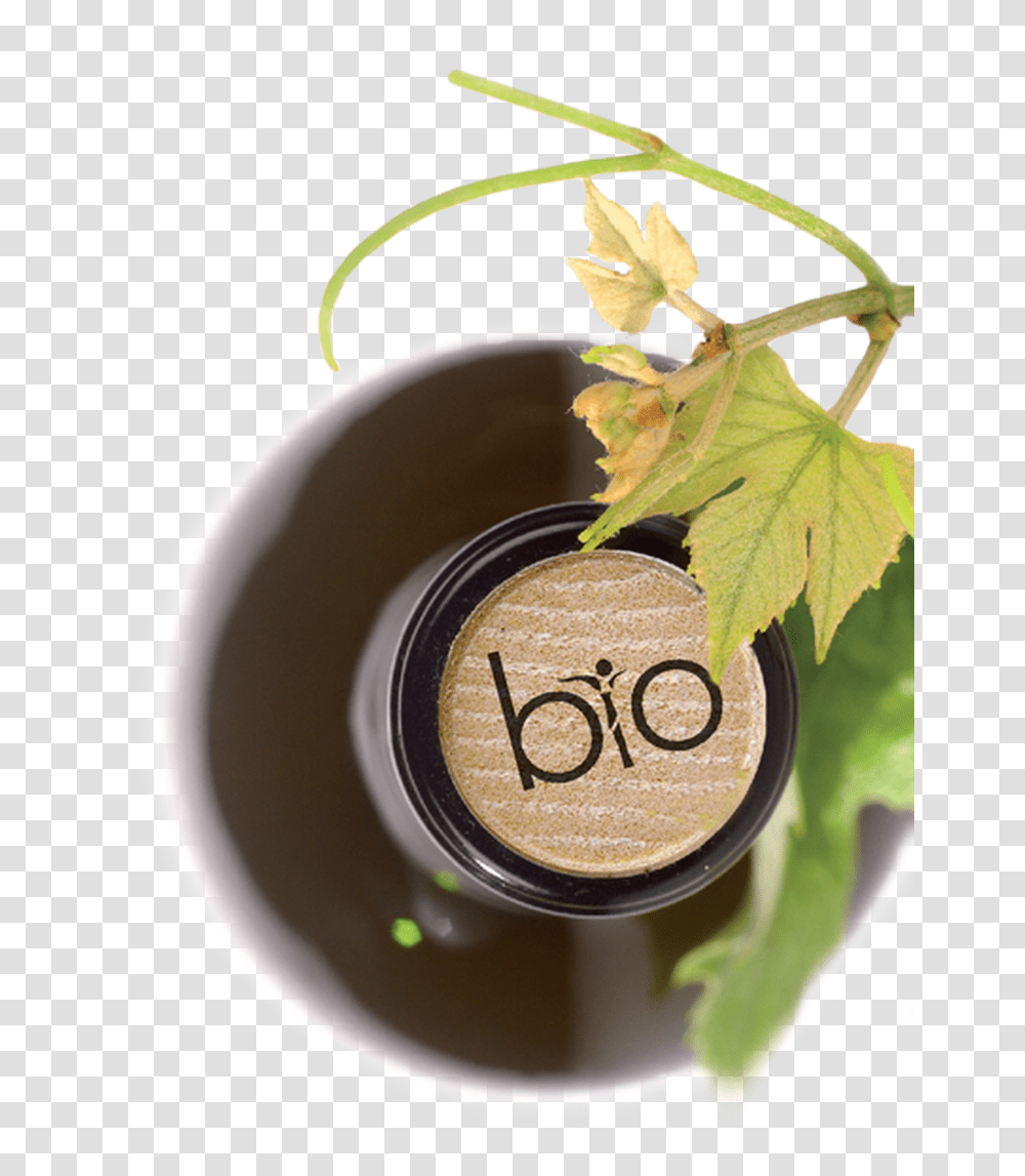 Nomacorc Select Bio Closure Made From Non Gmo Sugarcane Grape, Leaf, Plant, Jar, Potted Plant Transparent Png