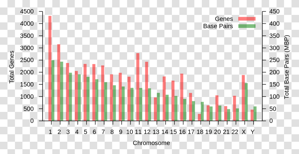 Nombre De Gene Par Chromosome, Label, Alphabet, Word Transparent Png