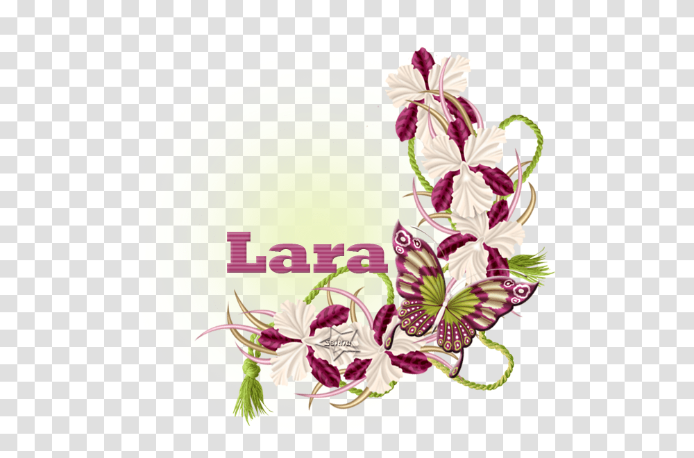 Nombres Con La Letra L Orchids Of The Philippines, Floral Design, Pattern Transparent Png