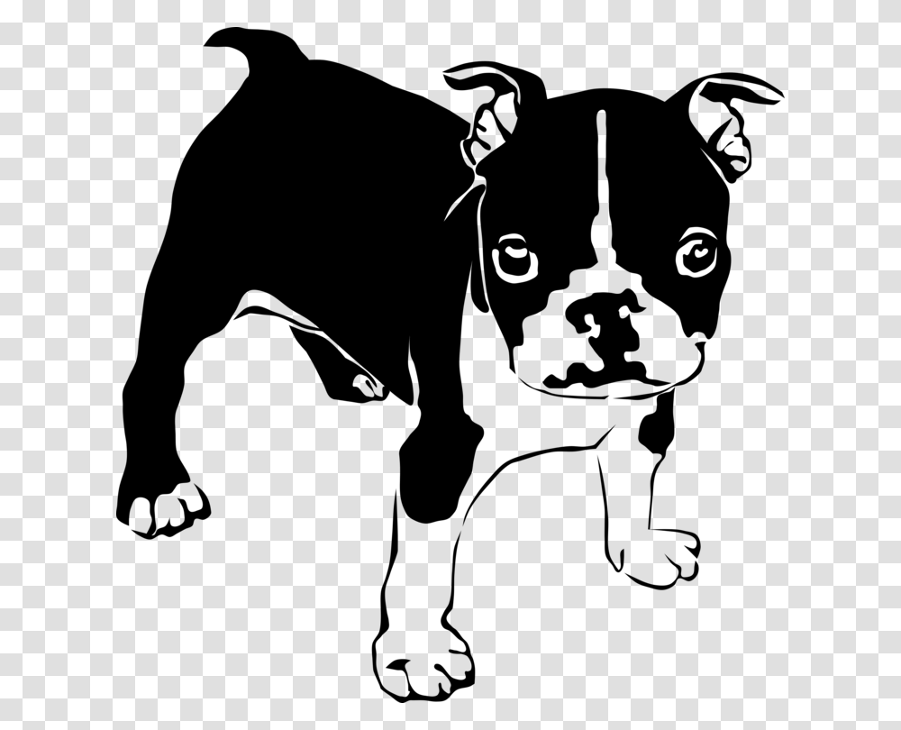 Non Sporting Groupboston Terrierpaw Clipart Boston Terrier Svg, Gray, Astronomy, Alphabet Transparent Png
