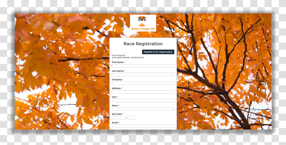 Nonprofit Event Registration Software Background Images Of Fall, Leaf, Plant, Tree, Maple Transparent Png