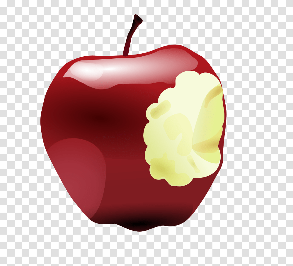 Noon Edition Recipe Box, Plant, Food, Fruit, Apple Transparent Png