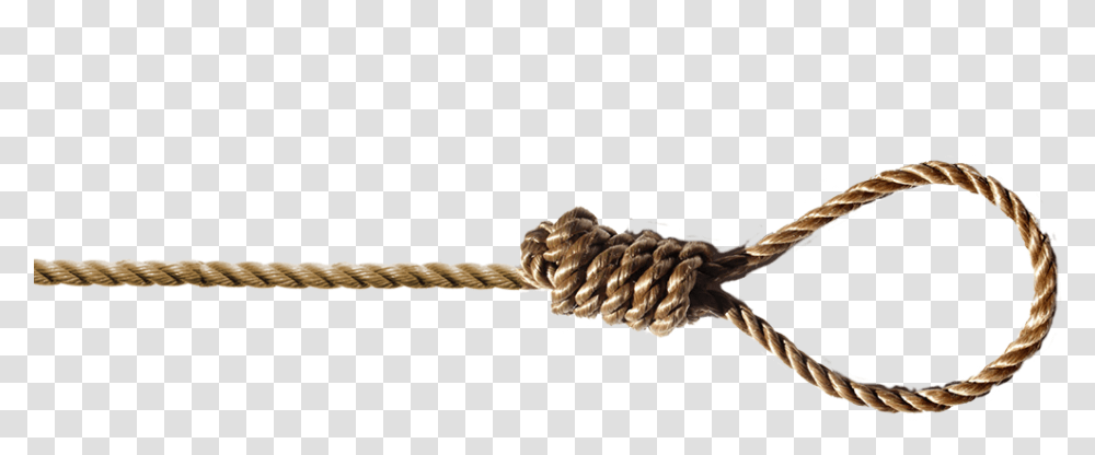 Noose Clipart Noose Exams, Snake, Reptile, Animal, Knot Transparent Png