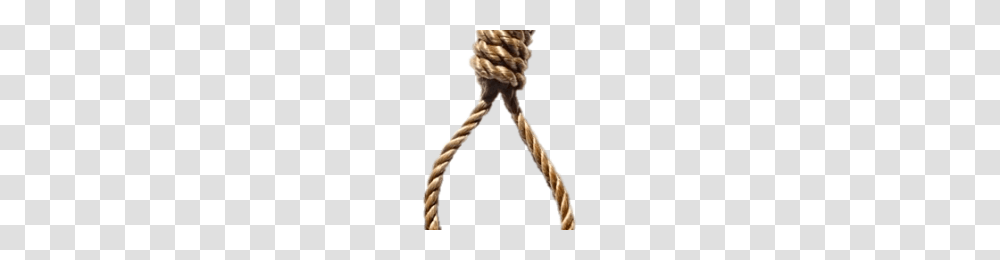Noose Image, Knot, Rope, Person, Human Transparent Png
