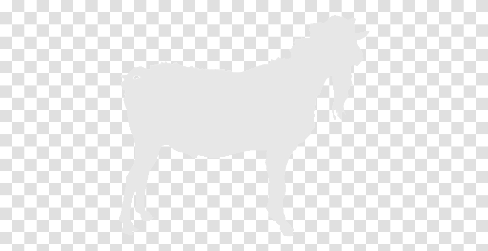 Nopicture Horse, Animal, Mammal, Stencil, Bull Transparent Png