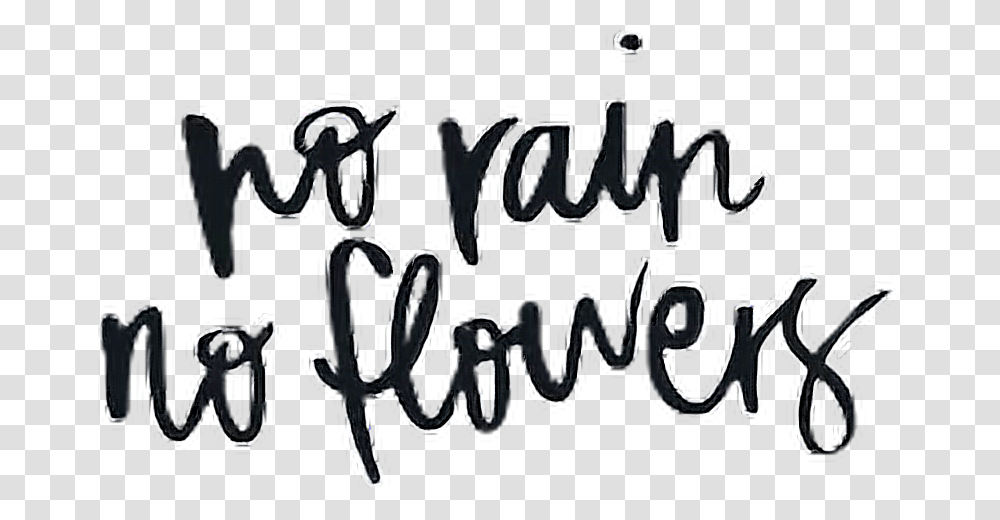 Norain Rain Flowers Quotes Quote Cursive Norainnoflowers Calligraphy, Handwriting, Label, Alphabet Transparent Png
