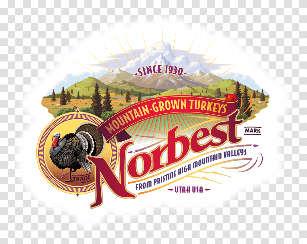 Norbest Logos Cox Communications, Meal, Food, Crowd, Leisure Activities Transparent Png