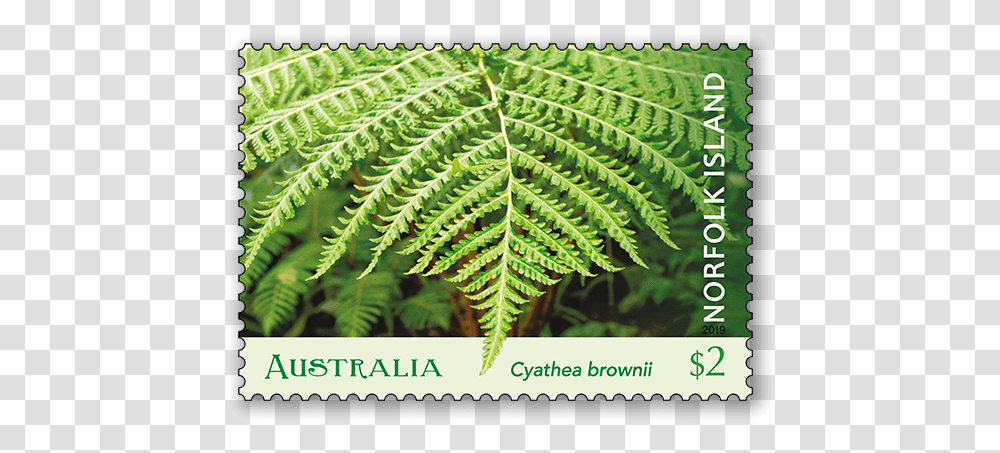Norfolk Island Tree Fern Australia Post Vertical, Plant Transparent Png