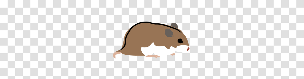 Normal Chinese Hamster, Rodent, Mammal, Animal, Sunglasses Transparent Png