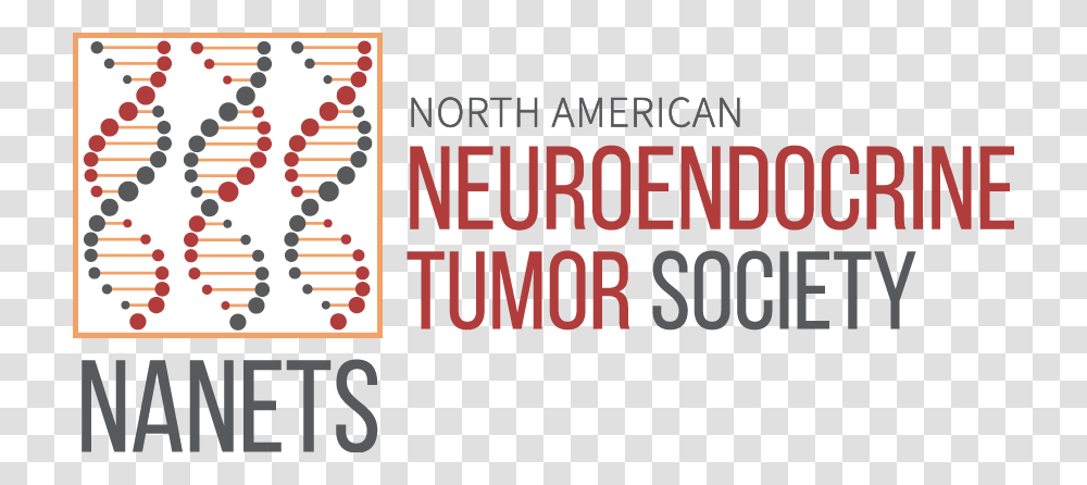 North American Neuroendocrine Tumor Society, Alphabet, Number Transparent Png