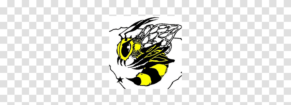 North Augusta Yellowjackets Basketball Boys Digital, Wasp, Bee, Insect, Invertebrate Transparent Png