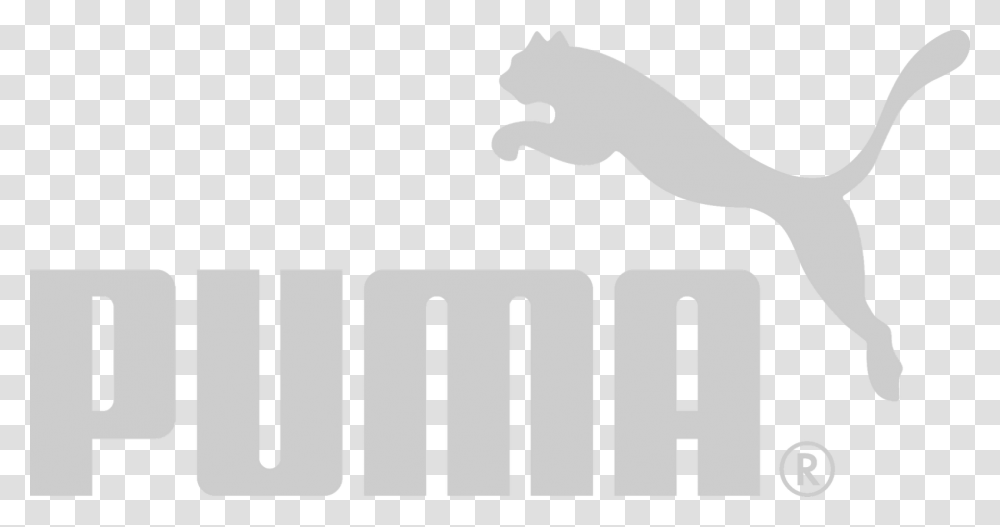 North By Northeast Puma Logo Clothing Adidas Puma Logo White, Alphabet, Stencil Transparent Png