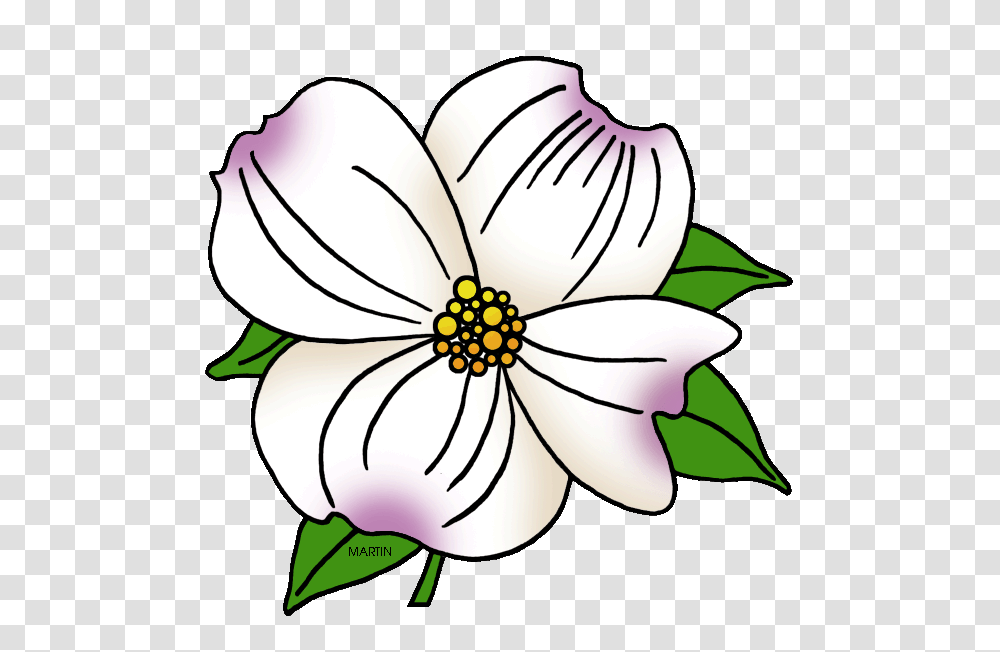 North Carolina Clipart, Plant, Flower, Floral Design Transparent Png