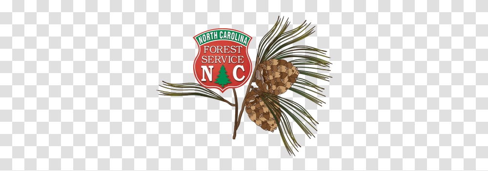 North Carolina Educational State Forests Nc Forest Service Logo, Symbol, Vegetation, Plant, Animal Transparent Png