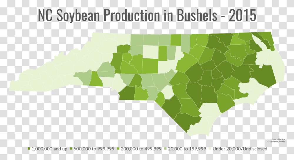 North Carolina Soybean Farms Map, Diagram, Plot, Atlas, Vegetation Transparent Png