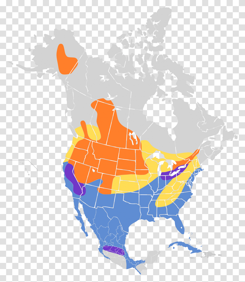 North Eastern North America, Map, Diagram, Plot, Atlas Transparent Png