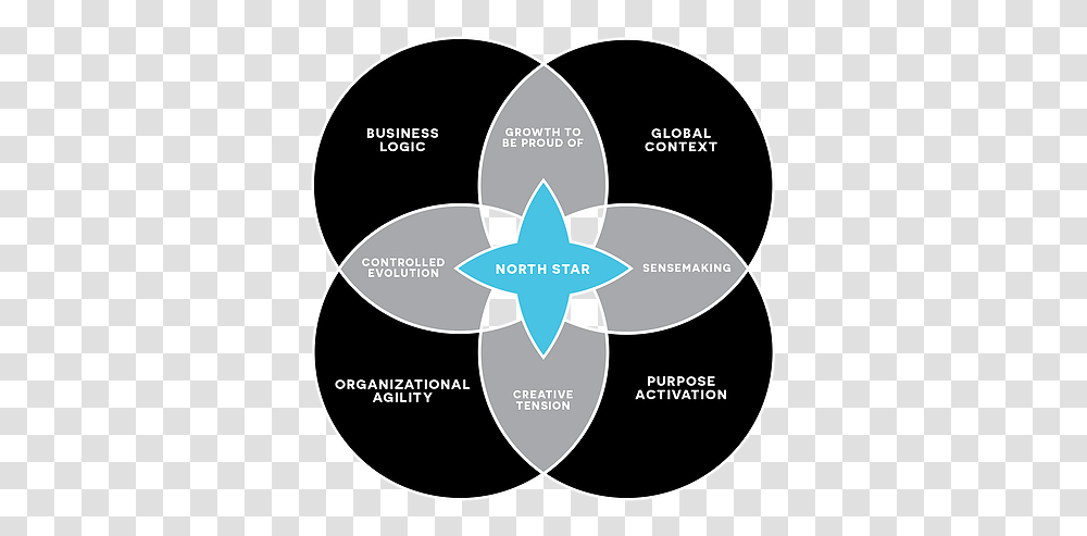 North Star Geniusworks Circle, Symbol, Diagram, Star Symbol Transparent Png