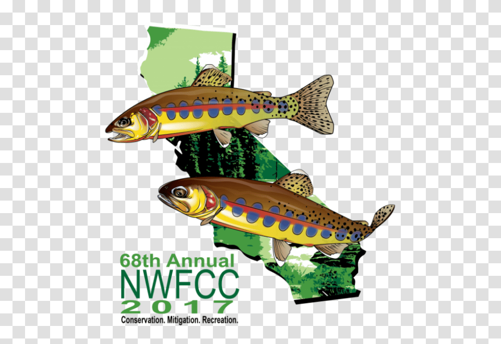North West Fish Clipart Clip Art Images, Animal, Fishing Lure, Bait, Coho Transparent Png