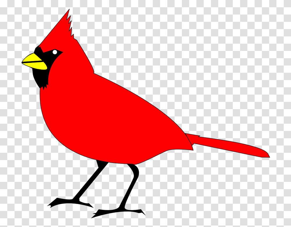 Northern Cardinal And Psd Free Download Winter, Bird, Animal Transparent Png