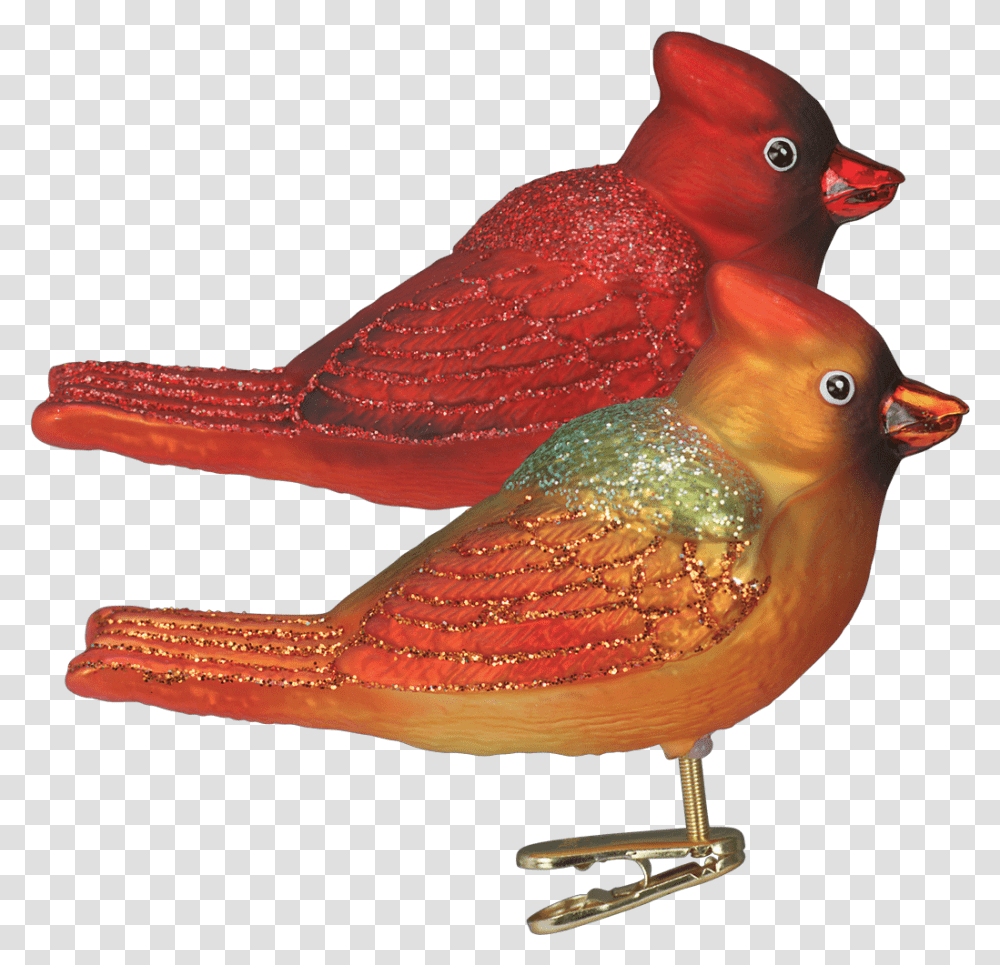 Northern Cardinal, Bird, Animal, Finch, Canary Transparent Png