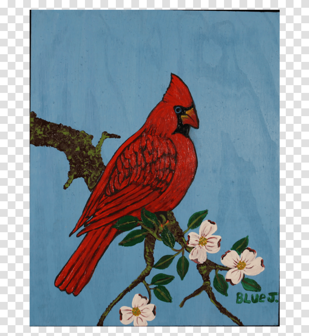 Northern Cardinal, Bird, Animal Transparent Png