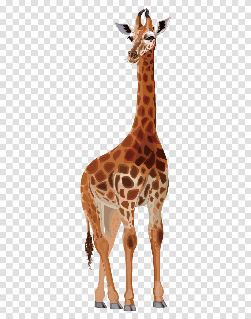 Northern Giraffe Deer Drawing Cartoon Giraf Drawing, Plant, Wildlife, Mammal, Animal Transparent Png