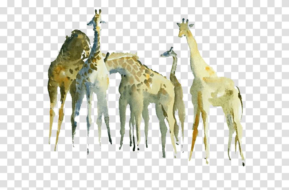Northern Giraffe Watercolor Painting Drawing Giraffe, Mammal, Animal, Wildlife, Antelope Transparent Png