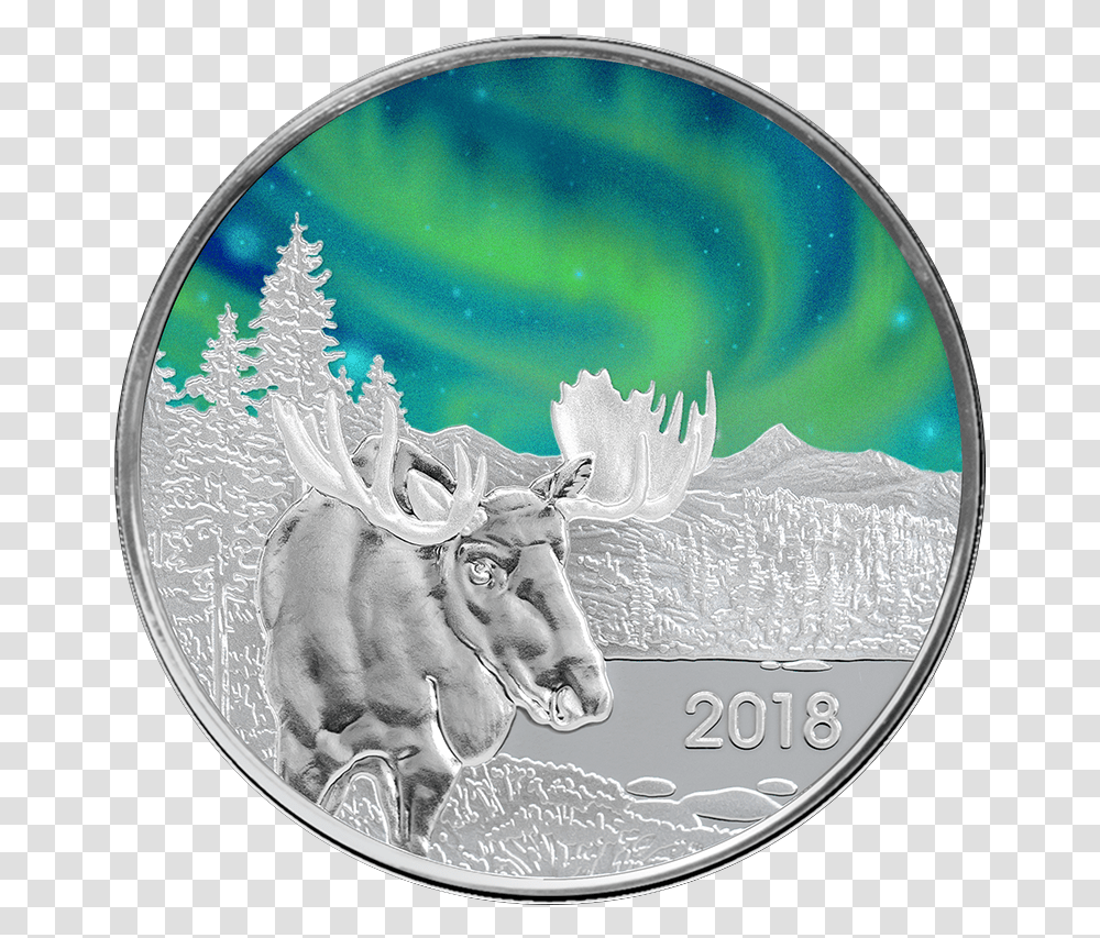 Northern Lights, Silver, Coin, Money, Platinum Transparent Png