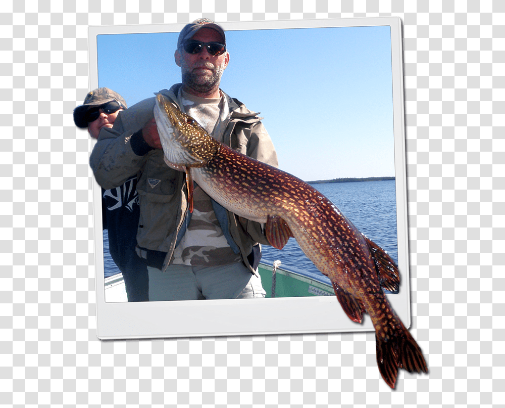 Northern Pike Fisherman, Sunglasses, Accessories, Accessory, Person Transparent Png