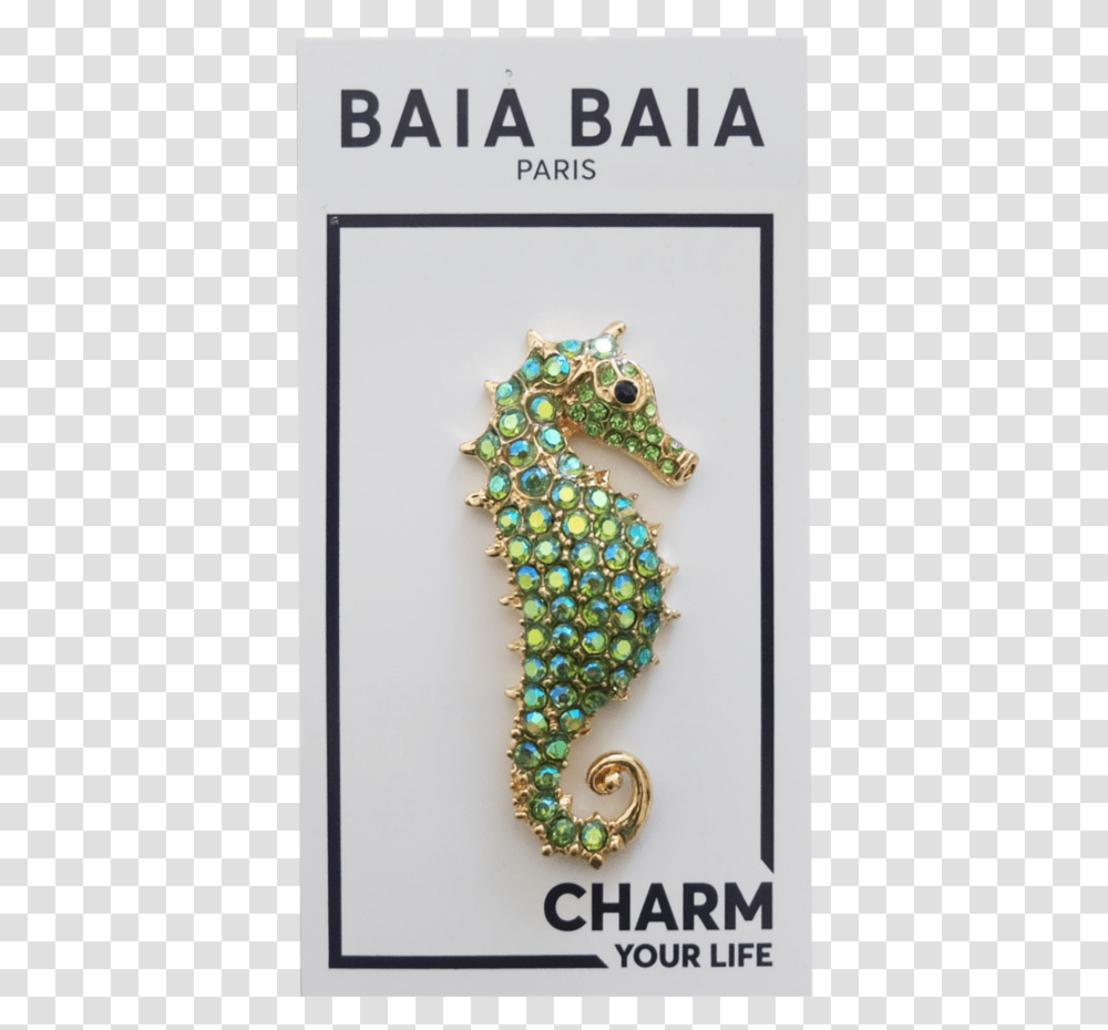 Northern Seahorse, Accessories, Accessory, Turquoise, Jewelry Transparent Png