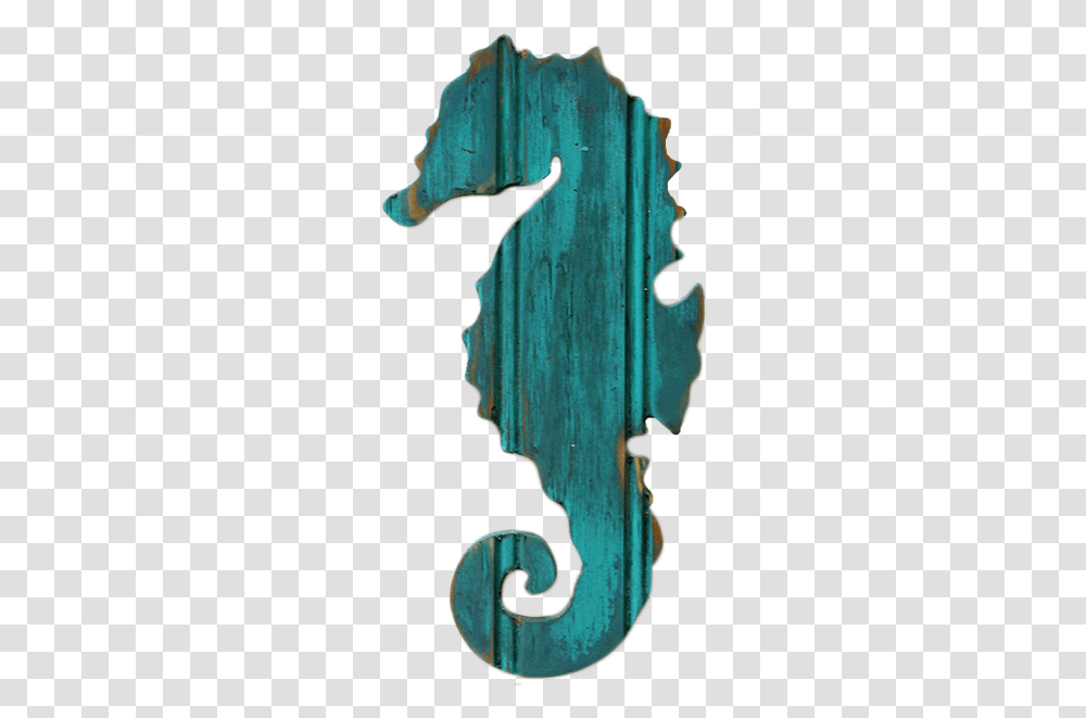Northern Seahorse, Key, Person, Human Transparent Png