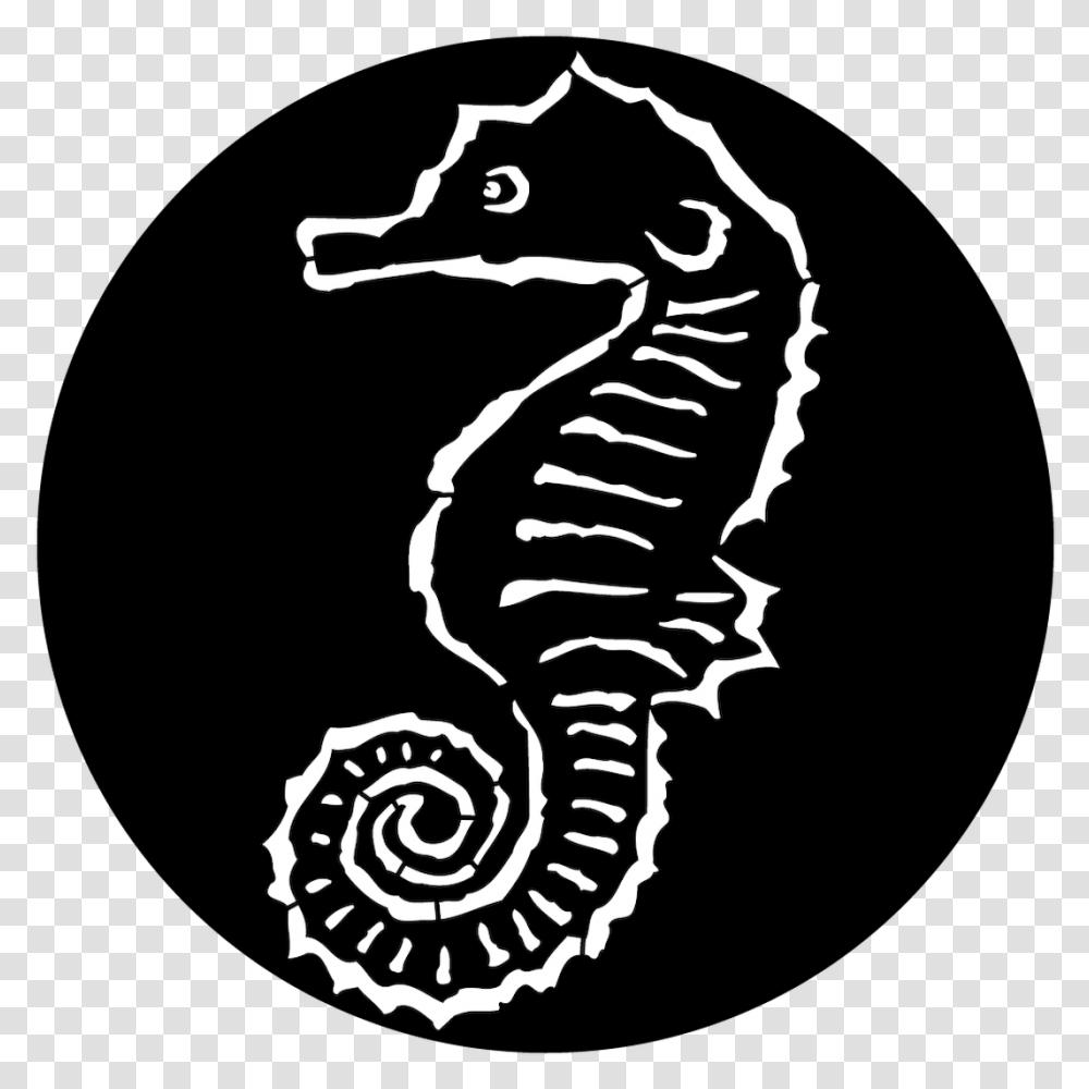 Northern Seahorse, Sea Life, Animal, Mammal Transparent Png