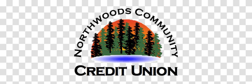 Northwoods Community Cu Language, Tree, Plant, Pine, Fir Transparent Png