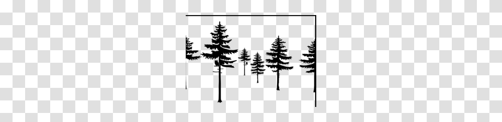 Norway Spruce Clipart, Outdoors, Nature, Astronomy Transparent Png