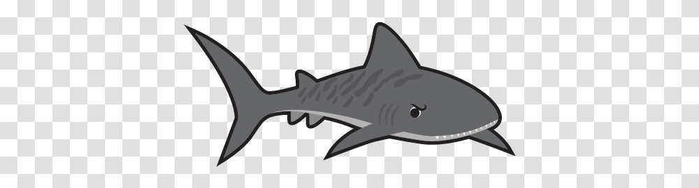 Norwood Swim School Tiger Shark, Sea Life, Fish, Animal, Axe Transparent Png
