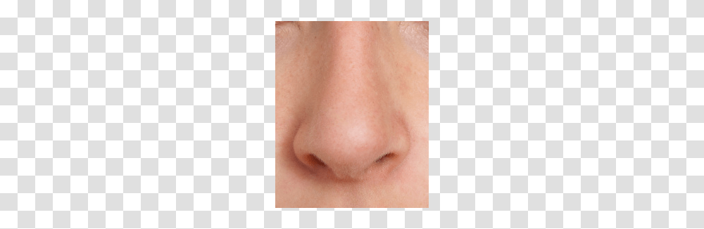 Nose, Person, Skin, Face, Human Transparent Png
