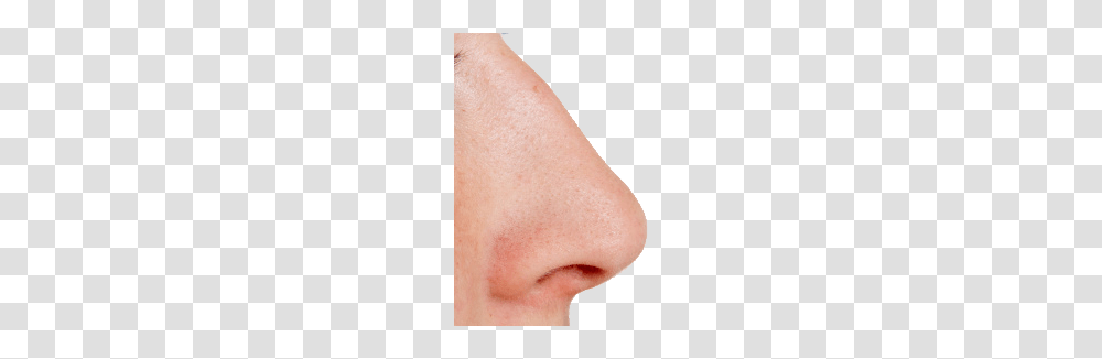 Nose, Person, Skin, Face, Human Transparent Png