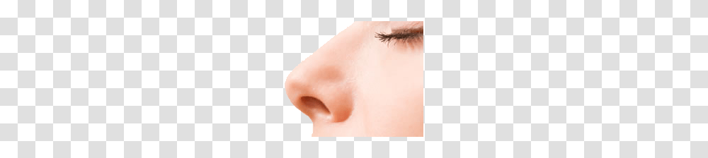 Nose, Person, Skin, Human, Head Transparent Png