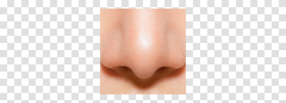 Nose, Person, Skin, Human, Mouth Transparent Png