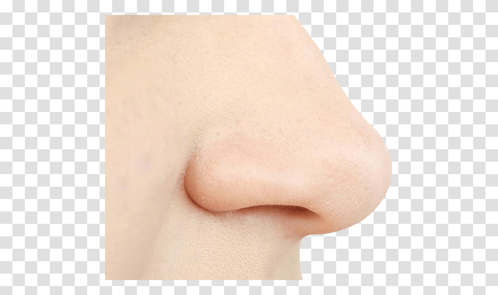 Nose, Person, Skin, Human, Neck Transparent Png