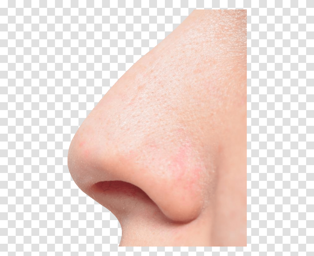 Nose, Person, Skin, Human, Neck Transparent Png
